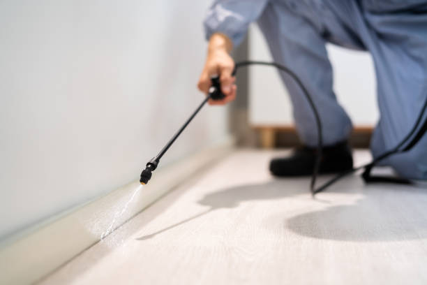 Licensed Mosquito Control service in Clifton, TX - Show Me Pest Control