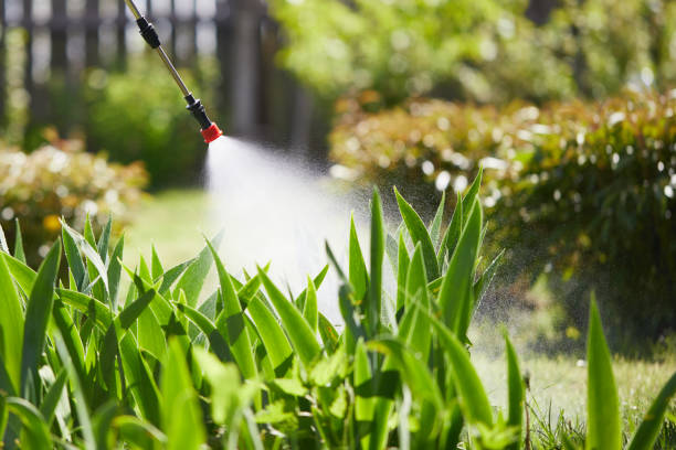 24/7 Emergency Mosquito Control experts in Clifton, TX