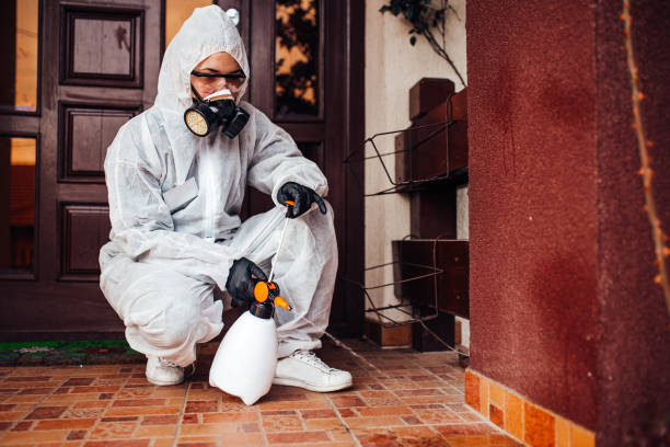 Reliable Mosquito Control contractor in Clifton, TX by Show Me Pest Control